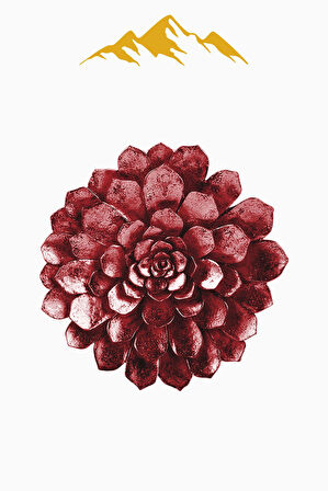 Kırmızı Lazer Çiçek Desenli Dijital Baskı Kaymaz Tabanlı Halı H0430