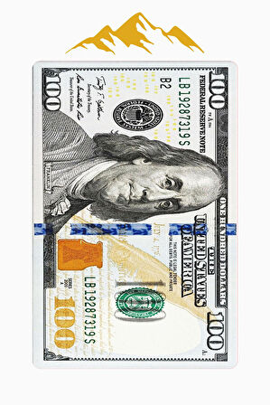 Modern Dolar Desen Dijital Baskı Kaymaz Taban Halı H0167