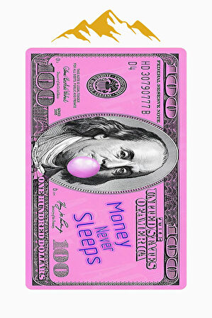 Modern Dolar Desen Dijital Baskı Kaymaz Taban Halı H0168