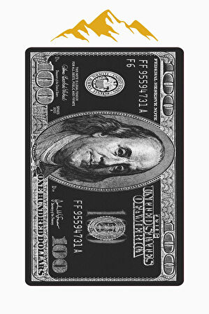 Modern Dolar Desen Dijital Baskı Kaymaz Taban Halı H0169