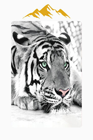 Kaplan Desenli Dijital Baskı Kaymaz Taban Halı H0140