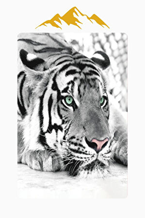 Kaplan Desenli Dijital Baskı Kaymaz Taban Halı H0140