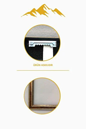 Dekoratif Kuş Desenli Dijital Baskılı Kadife Kumaş Çerçeveli Tablo TBL0029