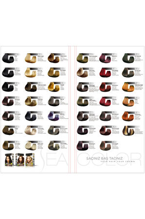 Set Boya 8.0 Açık Kumral