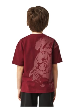 Galatasaray Ojinal Lisanslı Çocuk T-shirt