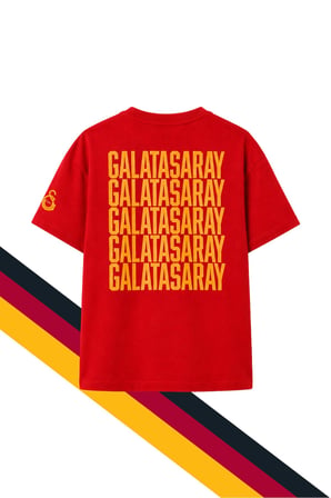 Galatasaray Çocuk Yazı Baskılı Kırmızı Tişört ve Gri Eşofman Altı, Eşofman Takımı