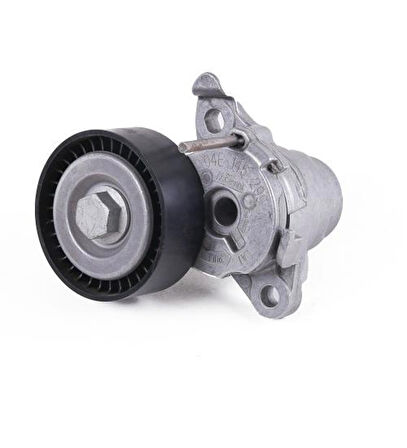ABA 25505444-ALTERNATOR V KAYISI GERGİ RULMANI BORA 1.6 98> 06A903315E /1