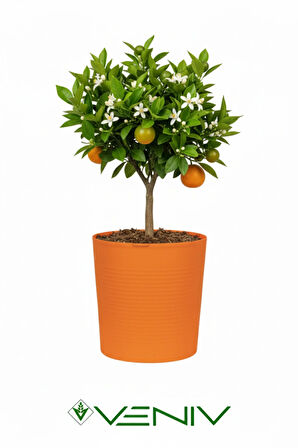 Dekoratif Kırılmaz 9.8 L Saksı