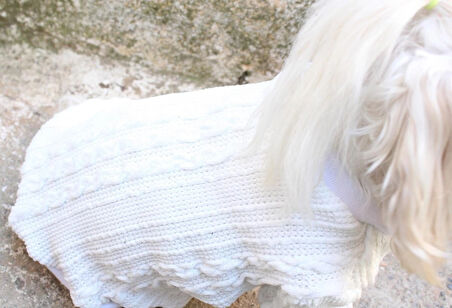 Beyaz Köpek Kazak – Sıcak Tutan Şık Kışlık Köpek Kiyafeti