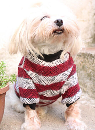 Bordo Köpek Kazak – Sıcak Tutan Şık Kışlık Köpek Kiyafeti