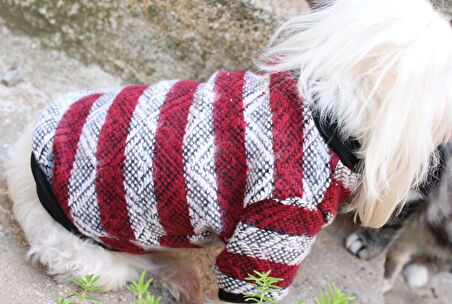Bordo Köpek Kazak – Sıcak Tutan Şık Kışlık Köpek Kiyafeti