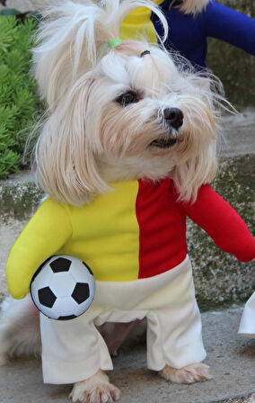 Taraftar SARI KIRMIZI Onden Giydirmeli Köpek Kıyafeti Kostümü