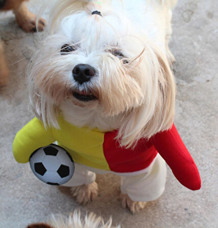 Taraftar SARI KIRMIZI Onden Giydirmeli Köpek Kıyafeti Kostümü