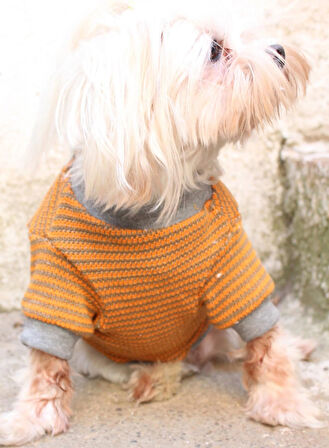 Hardal Köpek Kazak – Sıcak Tutan Şık Kışlık Köpek Kiyafeti