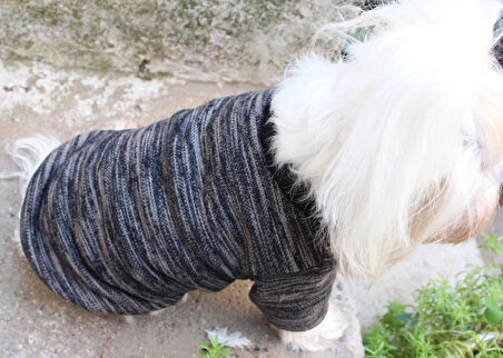 Antrasit  Köpek Kazak – Sıcak Tutan Şık Kışlık Köpek Kiyafeti