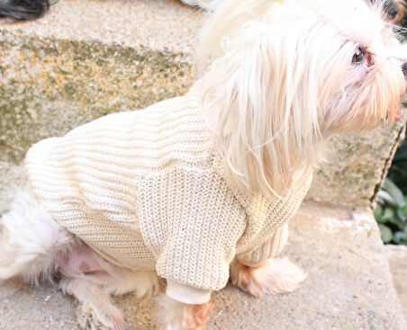 Krem Köpek Kazak – Sıcak Tutan Şık Kışlık Köpek Kiyafeti