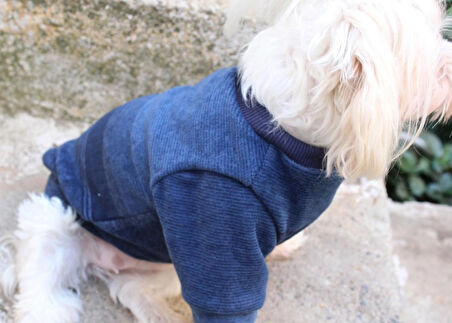 Lacivert Köpek Kazak – Sıcak Tutan Şık Kışlık Köpek Kiyafeti