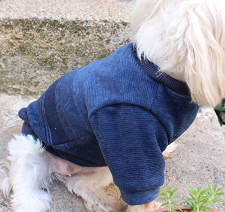 Lacivert Köpek Kazak – Sıcak Tutan Şık Kışlık Köpek Kiyafeti