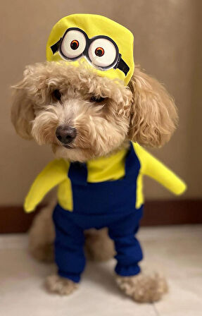 minion Onden Giydirmeli Köpek Kıyafeti Kostümü