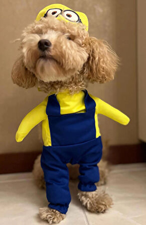 minion Onden Giydirmeli Köpek Kıyafeti Kostümü