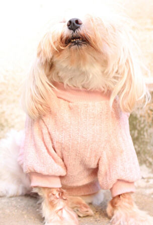 Pembe  Köpek Kazak – Sıcak Tutan Şık Kışlık Köpek Kiyafeti