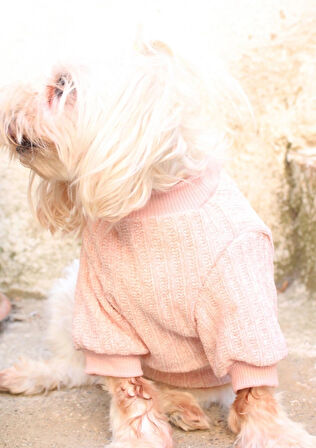 Pembe  Köpek Kazak – Sıcak Tutan Şık Kışlık Köpek Kiyafeti