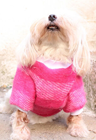 Pembe Tuylu Köpek Kazak – Sıcak Tutan Şık Kışlık Köpek Kiyafeti