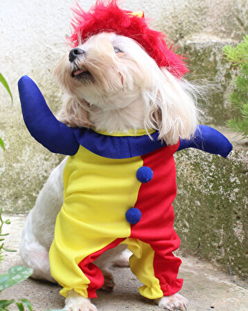 Soytari Onden Giydirmeli Köpek Kıyafeti Kostümü