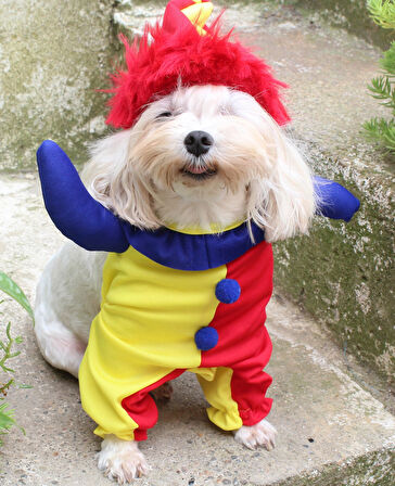 Soytari Onden Giydirmeli Köpek Kıyafeti Kostümü