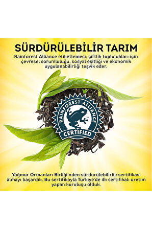 Lipton Doğu Karadeniz Demlik Poşet Çay 100'lü X 3 Adet