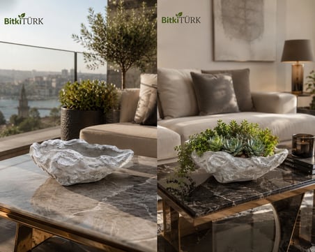 Doğal Kaya Formlu Beton Saksı ve Dekoratif Organizer 25 cm | El Yapımı | Sukulent, Kaktüs, Bonsai, Meyvelik ve Dekoratif Kullanım