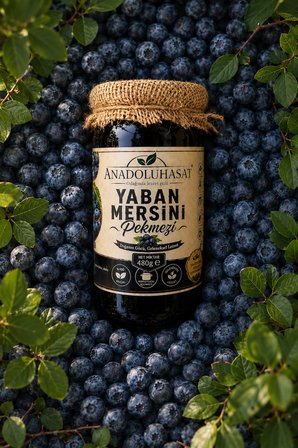 Doğal Yaban Mersini Pekmezi Net: 480Ml – Sofralara Meyvemsi Bir Dokunuş