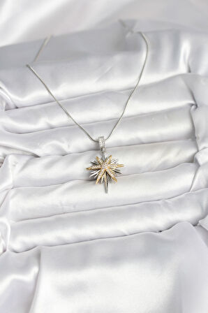 316L Çelik Zincir Gümüş Renk Kutup Yıldızı Model Kadın Kolye