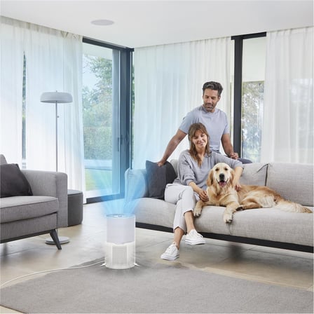 Rowenta PU2220 Pure Air Compact 3 Filtreli Ev Tipi Yüksek Etkili Hava Temizleyici