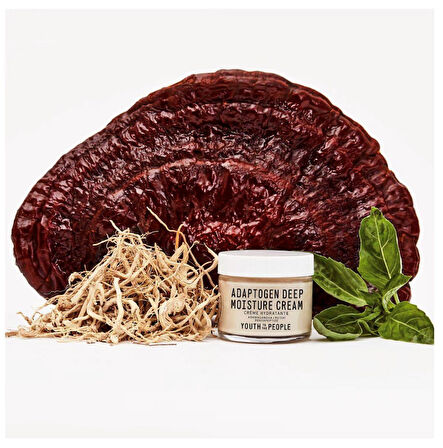 Youth To The People Adaptogen Deep Moisture Cream - Yatıştırıcı Ve Nemlendirici Krem 59 ml