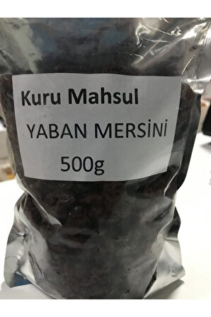 Yaban Mersini Kurusu Cranberry 500g