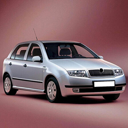 Skoda Fabia MK1 2000-2008 Ön Cam Silecek Takımı 53x48cm
