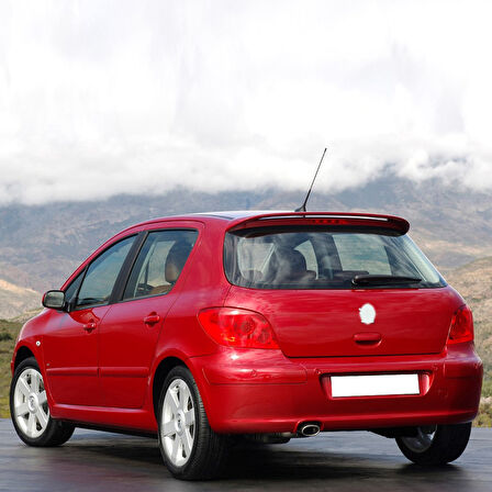 Peugeot 307 HB 2005-2008 Arka Cam Silecek Kolu Takımı 6429.T1