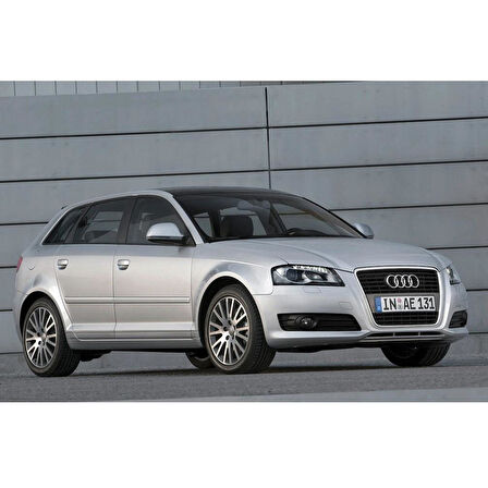 Audi A3 2004-2012 Ön Cam Silecek Vida Kapağı 1J0955205A