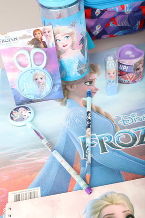 x Dekomus Lisanslı Elsa Frozen Full Kırtasiye Seti Anaokul Çantası,Beslenme Kabı,Matara,Beslenme Örtüsü