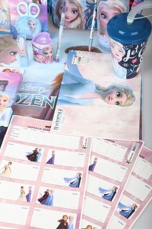 x Dekomus Lisanslı Elsa Frozen Full Kırtasiye Seti Anaokul,Beslenme ve Kalem Çantası,Beslenme Kabı,Matara,Beslenme Örtüsü