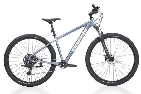 BIANCHI MAGMA 29.2 CUES ERKEK DAĞ BİSİKLETİ 480H HD 29 JANT 9 VİTES LB GRİ BEYAZ