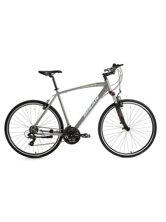BİSAN TRX 8100 ERKEK ŞEHİR BİSİKLETİ 50CM V 28 JANT 21 VİTES AÇIK METALİK GRİ YEŞİL BEYAZ
