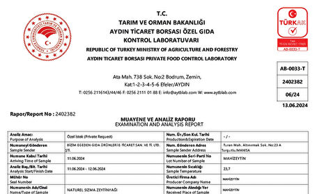 Mahizeytin Natürel Sızma Soğuk Sıkım Erken Hasat Zeytinyağı