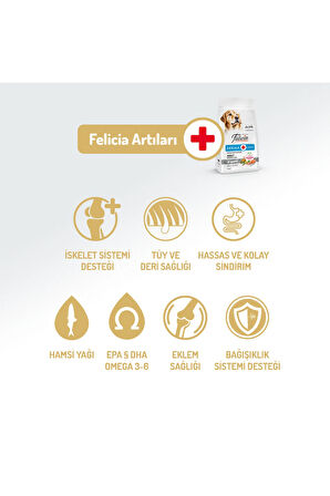 Kolajen Destekli Hipoalerjenik Somonlu Yetişkin Köpek Maması 15KG