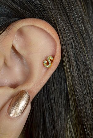 S Harfi Piercing Helix Kıkırdak Lob Tragus