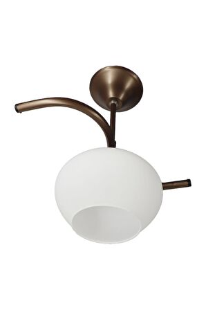 Fuji Bronz Tekli Beyaz Yatsı Camlı Avize | Kaliteli Modern Metal Avize