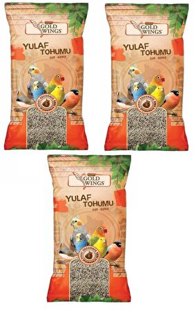 Gold Wings Yulaf Kuş Yemi 300 Gr (3 ADET)