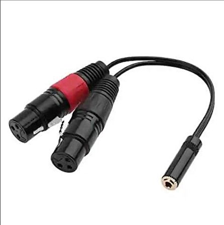 3.5 mm Stereo Dişi-2 Xlr Dişi Kablo 20 cm