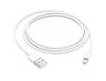Apple MXLY2ZM/A 1 m USB to Lightning Şarj Kablosu (Apple Türkiye Garantili)